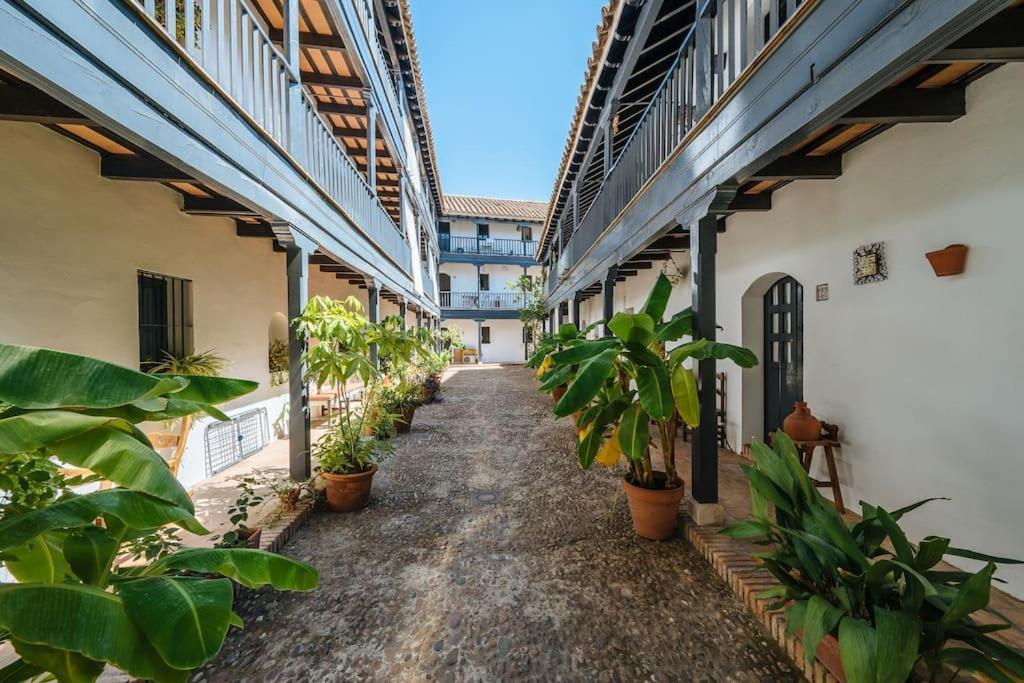 New Apartment In Traditional Building Of The XVI Century Sevilha Exterior foto